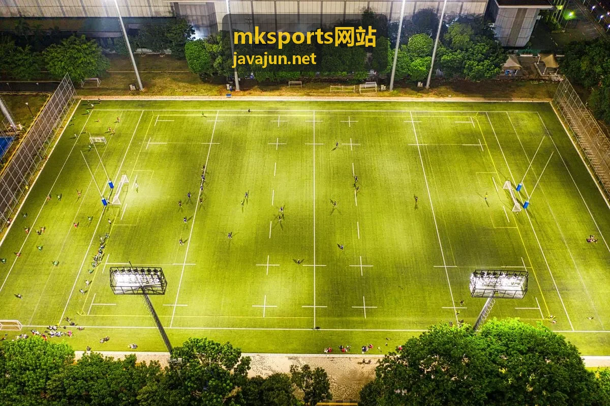 mksports网站运动数据记录功能演示